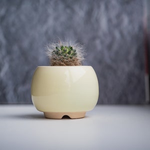 Little round plant pot Succulent planter Red pot Ceramic cactus planter Yellow
