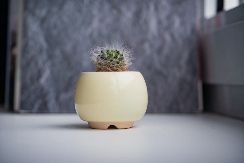 Little round plant pot Succulent planter Red pot Ceramic cactus planter Yellow