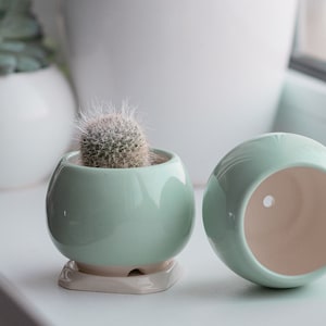 Mint ceramic succulent pot, Round ceramic planter for cactus or succulent image 4