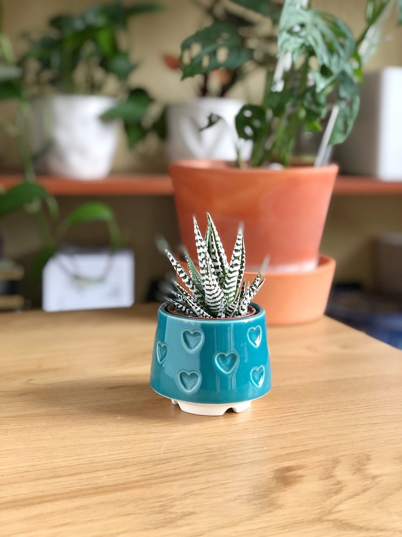 Teal small succulent pot with hearts, Succulent Valentines gift, Mini planter, Ceramic plant pot, Turquoise heart print pot image 2