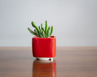 Red square small cactus pot, Gift for cacti lover