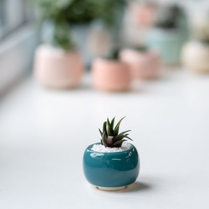 Little round plant pot Succulent planter Red pot Ceramic cactus planter Turquoise