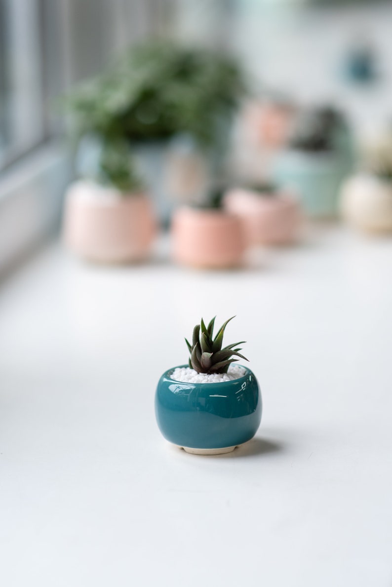 Little round plant pot Succulent planter Red pot Ceramic cactus planter Turquoise