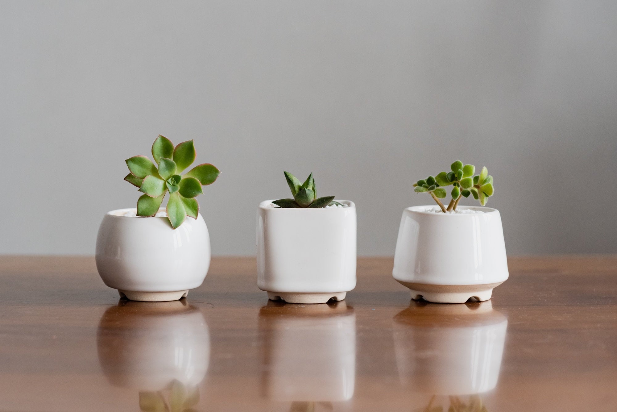 White Small Plant Pot Size M Set of 3 Ceramic Flower Planter for