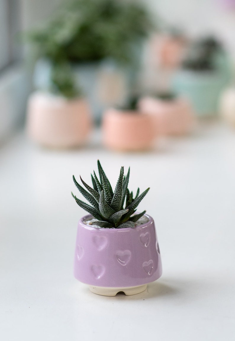 Teal small succulent pot with hearts, Succulent Valentines gift, Mini planter, Ceramic plant pot, Turquoise heart print pot Lilac