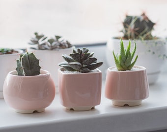 Trio light pink succulent planter, set of 3 pots, Pink plant pot