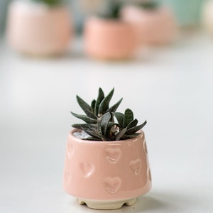Teal small succulent pot with hearts, Succulent Valentines gift, Mini planter, Ceramic plant pot, Turquoise heart print pot Pink