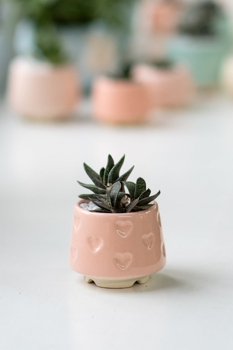 Teal small succulent pot with hearts, Succulent Valentines gift, Mini planter, Ceramic plant pot, Turquoise heart print pot Pink