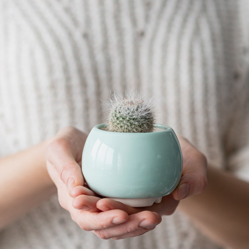 Mint ceramic succulent pot, Round ceramic planter for cactus or succulent image 1