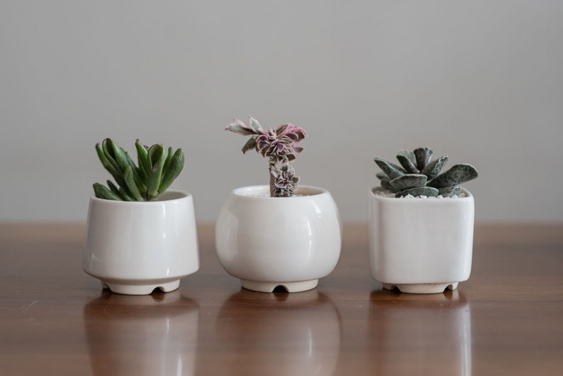 White small plant pot Set of 3 Ceramic planter for succulent, cactus Wedding favor Gift for plant lover Set of succulent pots image 2