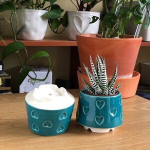 Teal small succulent pot with hearts, Succulent Valentines gift, Mini planter, Ceramic plant pot, Turquoise heart print pot image 10