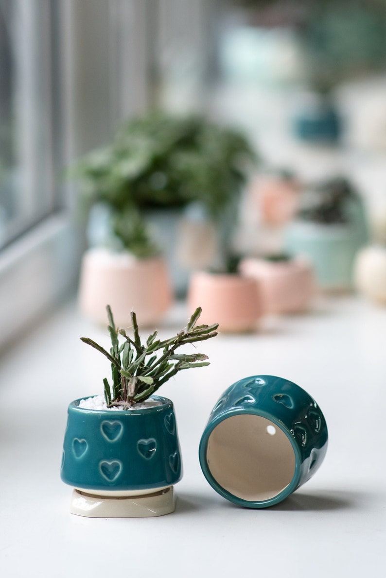 Teal small succulent pot with hearts, Succulent Valentines gift, Mini planter, Ceramic plant pot, Turquoise heart print pot image 7