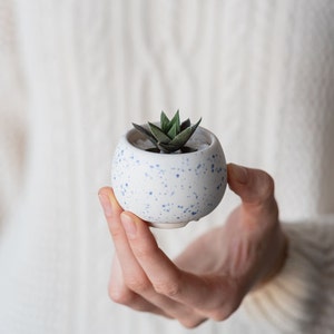 Little round plant pot Succulent planter Red pot Ceramic cactus planter White and Blue