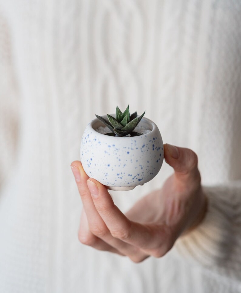 Little round plant pot Succulent planter Red pot Ceramic cactus planter White and Blue
