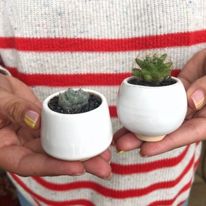 White small plant pot Set of 3 Ceramic planter for succulent, cactus Wedding favor Gift for plant lover Set of succulent pots image 3