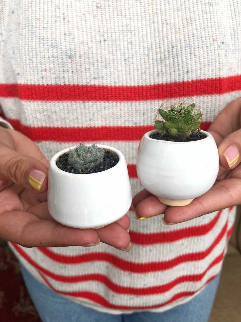 White small plant pot Set of 3 Ceramic planter for succulent, cactus Wedding favor Gift for plant lover Set of succulent pots image 3