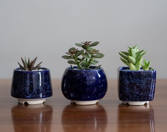 Blue and White Small Plant Pot - M size - Set of 3 - Ceramic planter for succulent, cactus - Wedding favor - Set of succulent pots