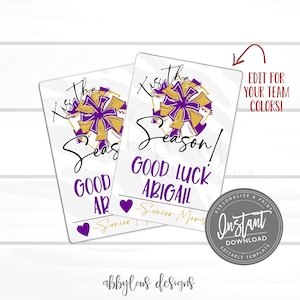 BEWERKBARE Cheer Good Luck-tags, afdrukbare Cheer-teamtags, gepersonaliseerde Good Luck-gunsten, gepersonaliseerde Good Luck-kaart, DIRECTE TOEGANG