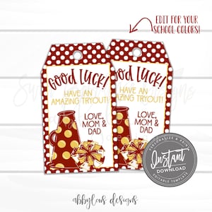 EDITABLE Cheer Good Luck Tags, Printable Cheer Team Favor Tags, Custom Gift Tag, Custom Good Luck Tag, INSTANT ACCESS
