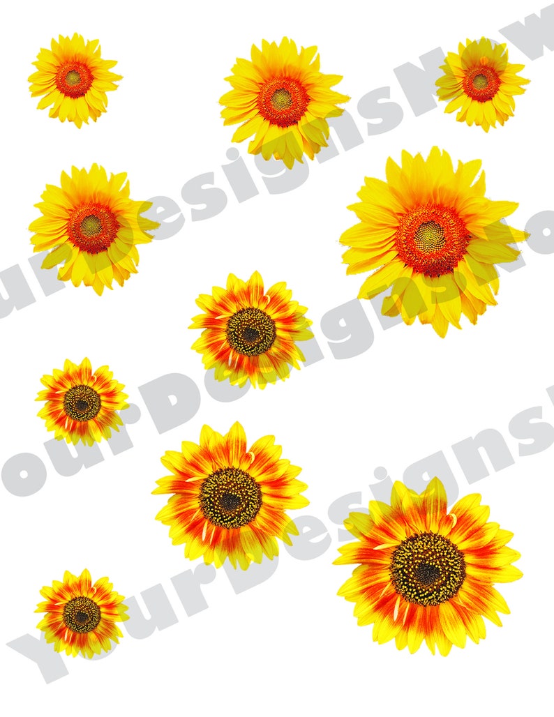 Download Sunflowers Multi-pack Multi-size SVG Waterslide Image ...