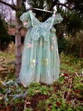 Girls Fairy Wings Dress. Butterfly wing dress. Beautiful Green Tulle Dress with Butterfly wing detail on the back, party dress.