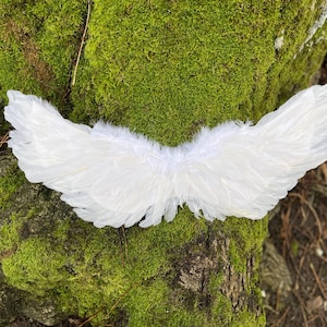 Op de afbeelding: Een paar witte veren vleugels, wijd uitgespreid op een met mos bedekte boomstam. De vleugels zijn symmetrisch en gemaakt van zachte, donzige veren. De achtergrond is een natuurlijke omgeving met groen mos en boomschors.