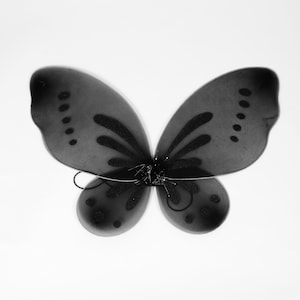 May include: A pair of black butterfly wings constructed from a sheer, translucent fabric stretched over a thin wire frame. The wings feature dark, glittery accents along the veins and a series of small, circular dots along the outer edges.