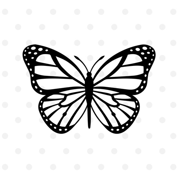 Download Butterfly SVG Cut File for Cricut or Silhouette Cameo PNG ...