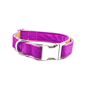 Purple Velvet Dog Collar, All Seasons Collar, Fancy Dog Collar, Girl Dog, Pet Collar, boho Dog, Spring Collar, bright purple, metal buckle