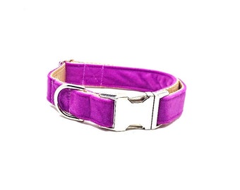 Purple Velvet Dog Collar, All Seasons Collar, Fancy Dog Collar, Girl Dog, Pet Collar, boho Dog, Spring Collar, bright purple, metal buckle