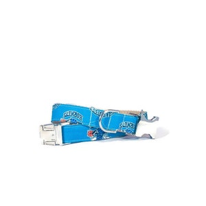 Charlotte Hornets Dog Collar - Hornets - North Carolina Collar - NBA Dog Collar - Silver Buckle - Nickel Hardware - Basketball Collar image 1
