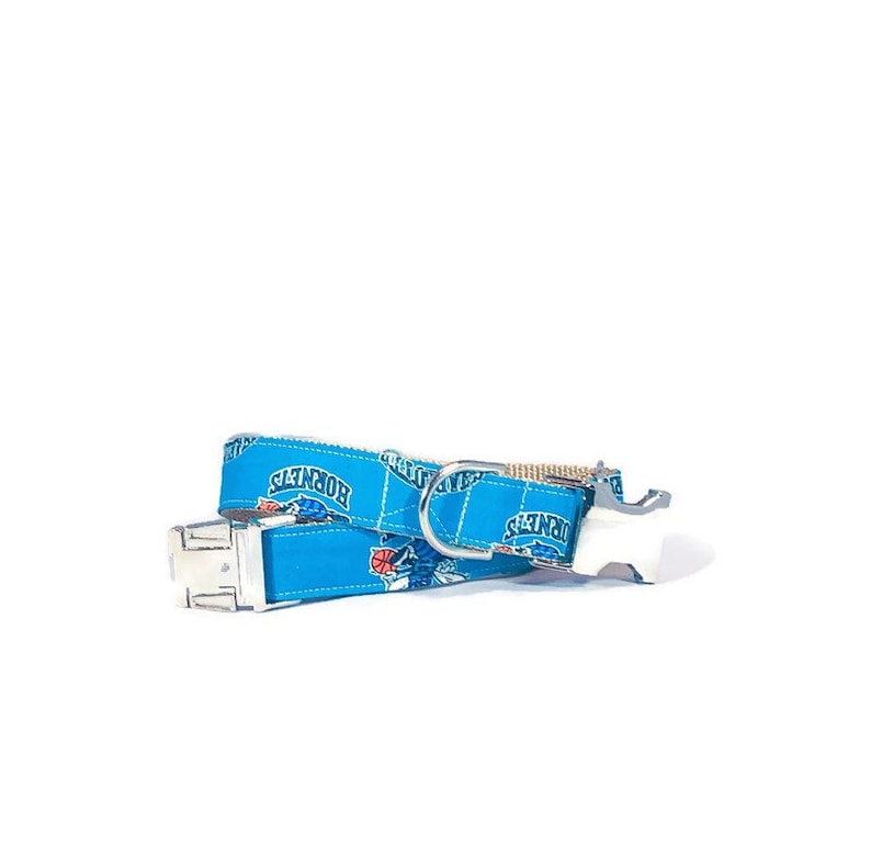 Charlotte Hornets Dog Collar - Hornets - North Carolina Collar - NBA Dog Collar - Silver Buckle - Nickel Hardware - Basketball Collar image 1
