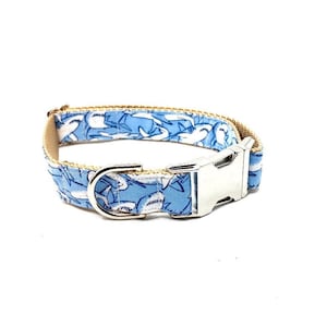 Haai halsband - lente/zomer halsband - nikkel hardware - zilveren gesp - blauwe haai halsband - jongenshalsband - nautische halsband