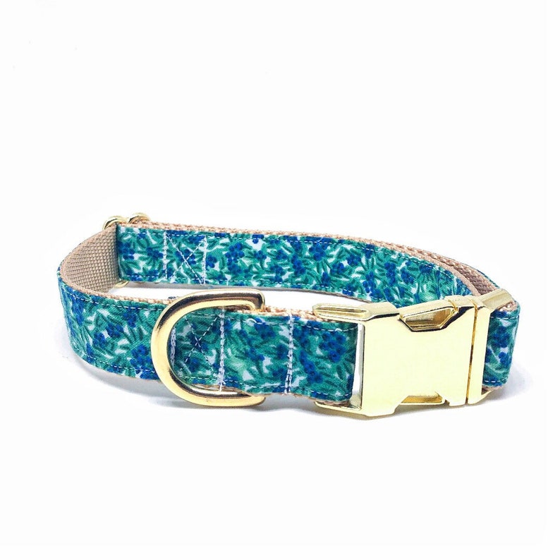 Blueberries Dog Collar Summer Dog Collar Blue Fruit Dog Etsy