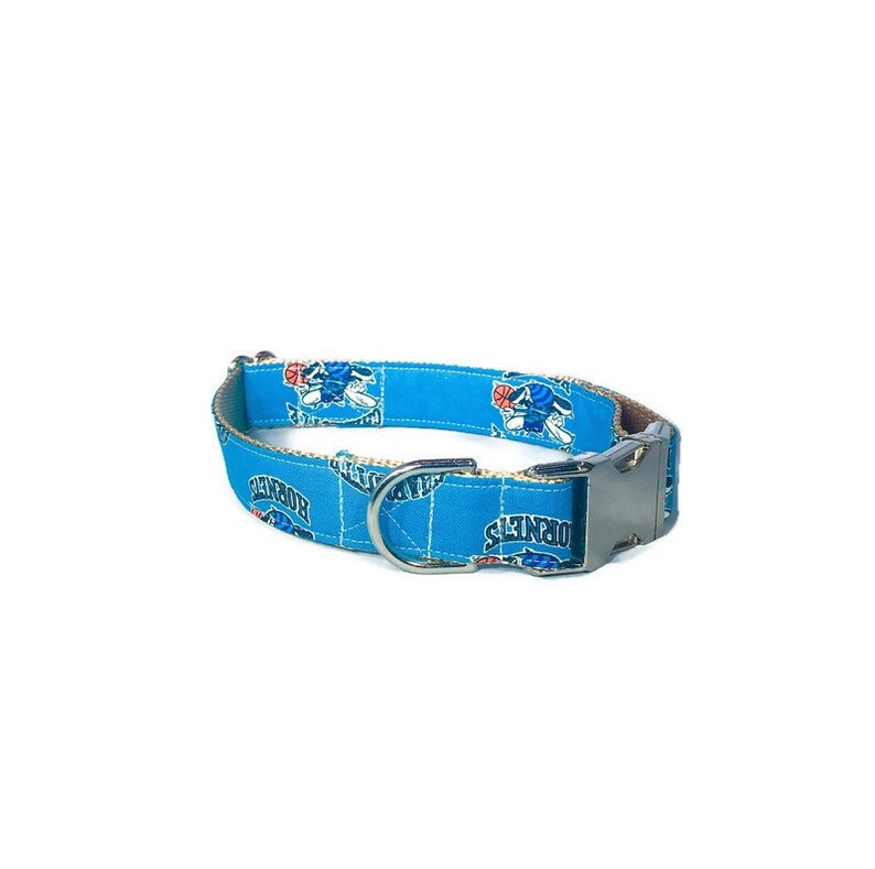 Charlotte Hornets Dog Collar - Hornets - North Carolina Collar - NBA Dog Collar - Silver Buckle - Nickel Hardware - Basketball Collar image 3