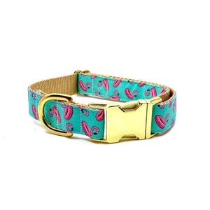 May include: A turquoise blue dog collar with a gold buckle and a pink flamingo print.