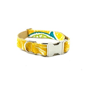 Citrus Dog Collar - Spring/Summer Dog Collar - Nickel Hardware - Silver Buckle -Durable - Boy/girl dog Collar - Lemon collar - fruit pattern