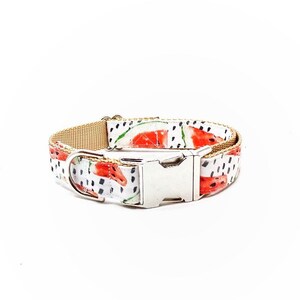 Watermelon Dog Collar - Spring/Summer Dog Collar - Nickel Hardware - Silver Buckle - Durable - Boy/Girl dog Collar - Black dot dog collar
