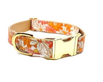 May include: A floral dog collar with a gold buckle. The collar is made of a brown fabric with a white and orange floral pattern.