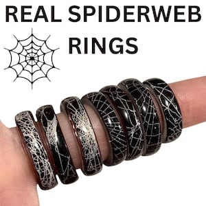 Real Preserved Spider Web Rings