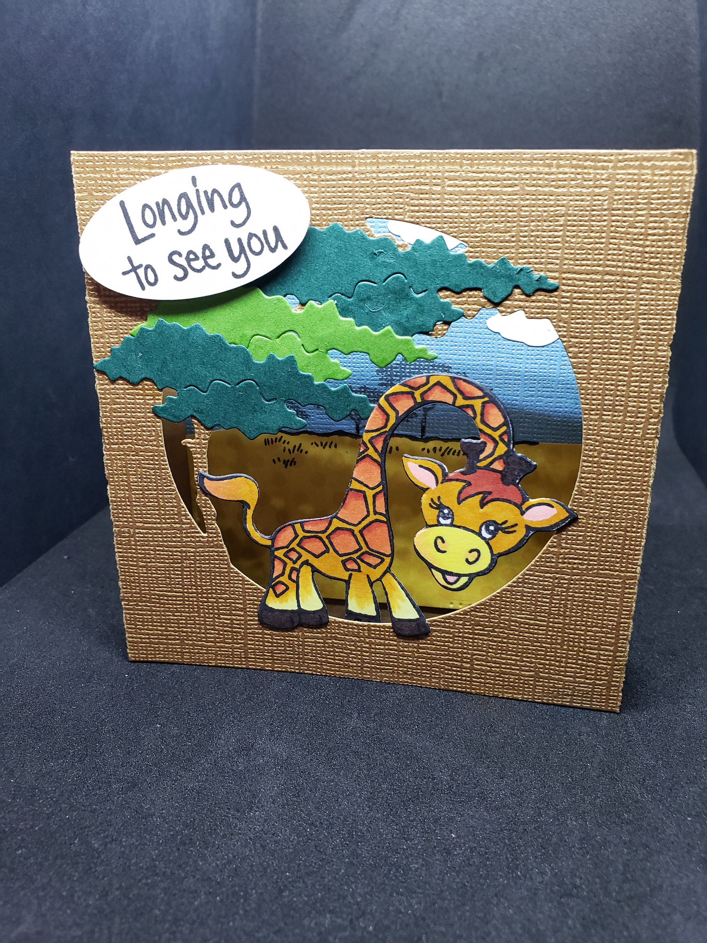 A Shaker Card and Envelope with Giraffe Designs and handmade Paper