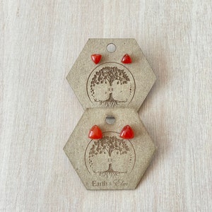Puede incluir: Un par de pendientes de piedra de cornalina en una tarjeta hexagonal con el texto "Earth & Elm".