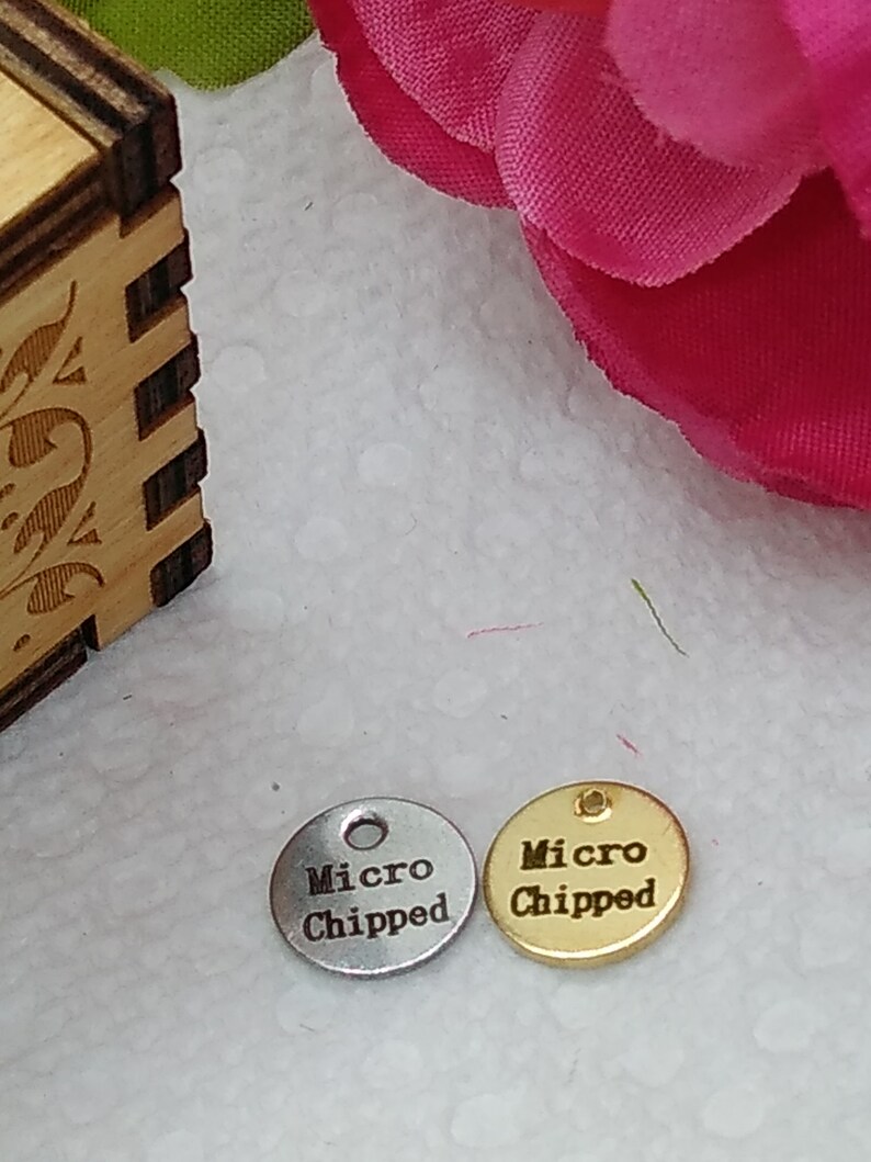 SSC Special Needs Custom Engraved stainless Steel Gold Silver Rose Gold Personalized pet ID tag Cats Dogs Special needs custom tag