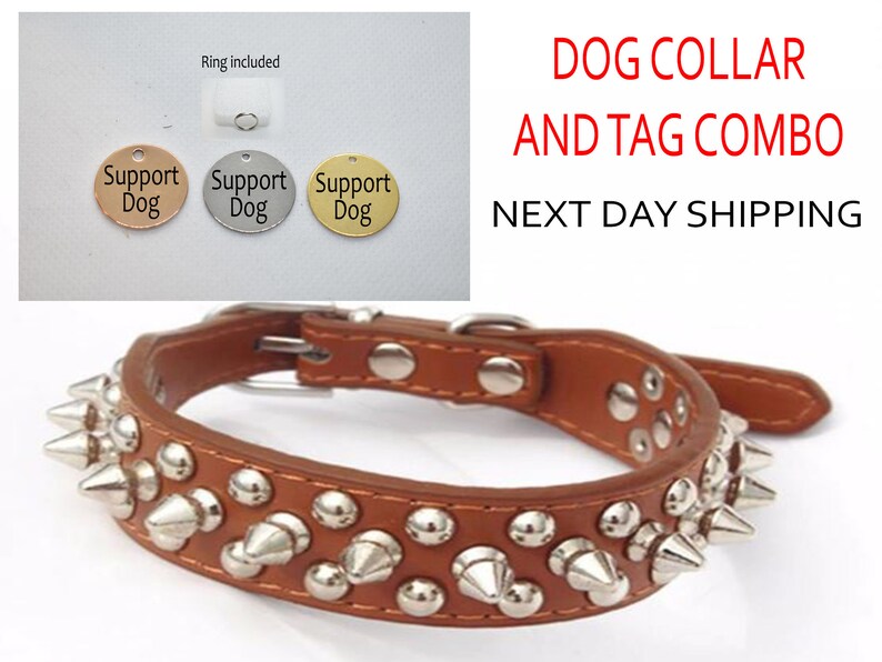 SSC Spiked leather collar for Small Medium Large dogs Engraved tag AZX12