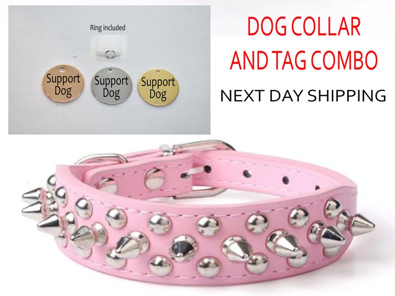 SSC Spiked leather collar for Small Medium Large dogs Engraved tag AZX12