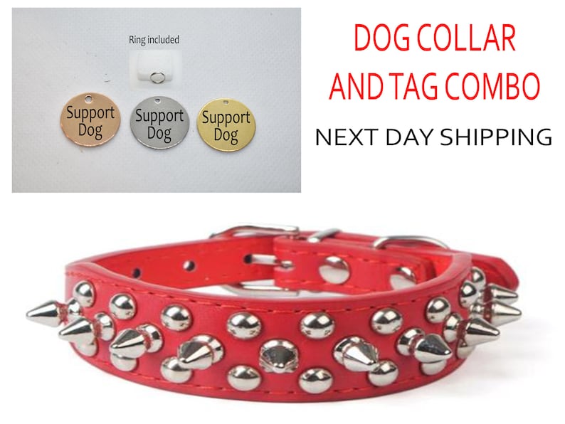 SSC Spiked leather collar for Small Medium Large dogs Engraved tag AZX12