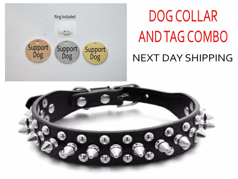 SSC Spiked leather collar for Small Medium Large dogs Engraved tag AZX12