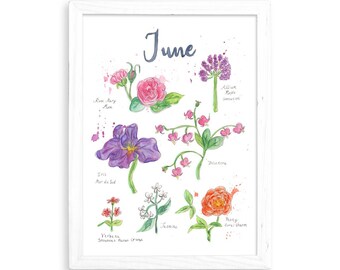June Florals - Watercolor Home Decor / Kitchen