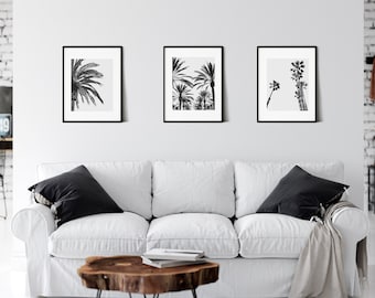 Downloadable California Palm Tree Prints Palm Trees