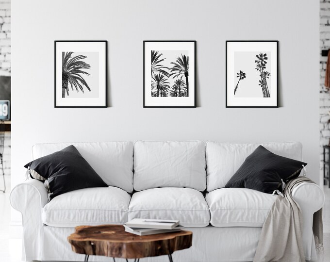 Downloadable California Palm Tree Prints Palm Trees